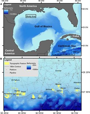 Do Oil and Gas Lease Stipulations in the Northwestern Gulf of Mexico Need Expansion to Better Protect Vulnerable Coral Communities? How Low Relief Habitats Support High Coral Biodiversity